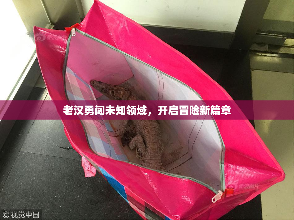 老汉勇闯未知领域，开启冒险新篇章