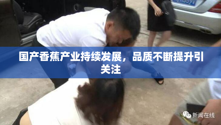 国产香蕉产业持续发展，品质不断提升引关注