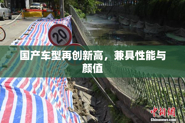 国产车型再创新高，兼具性能与颜值