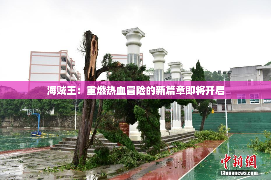 海贼王：重燃热血冒险的新篇章即将开启
