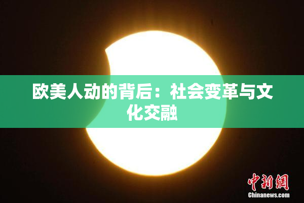 欧美人动的背后：社会变革与文化交融