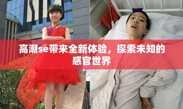 高潮se带来全新体验，探索未知的感官世界