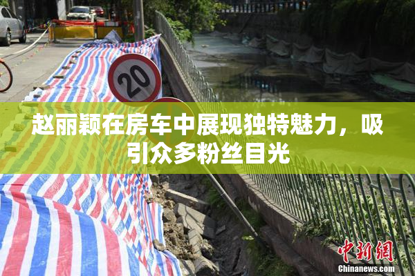 赵丽颖在房车中展现独特魅力，吸引众多粉丝目光