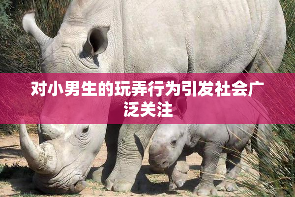 对小男生的玩弄行为引发社会广泛关注