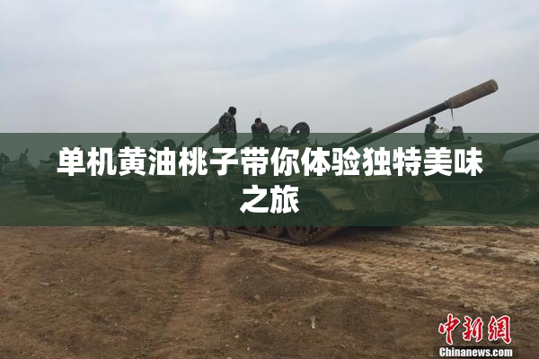 单机黄油桃子带你体验独特美味之旅