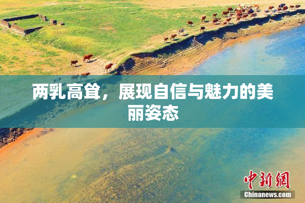 两乳高耸，展现自信与魅力的美丽姿态