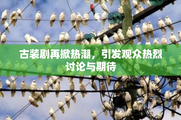 古装剧再掀热潮，引发观众热烈讨论与期待