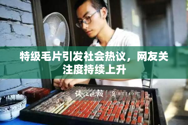 特级毛片引发社会热议，网友关注度持续上升