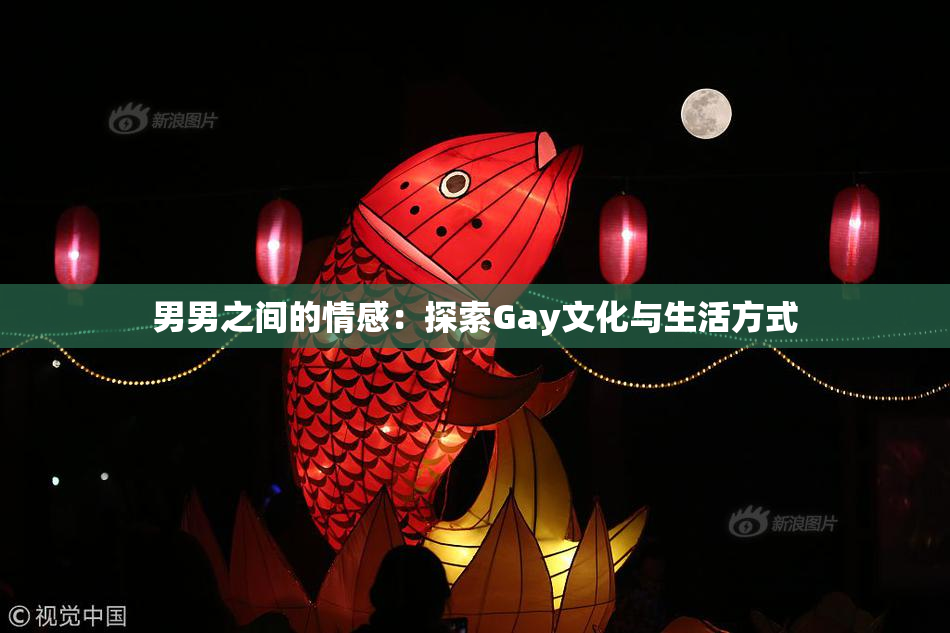 男男之间的情感：探索Gay文化与生活方式