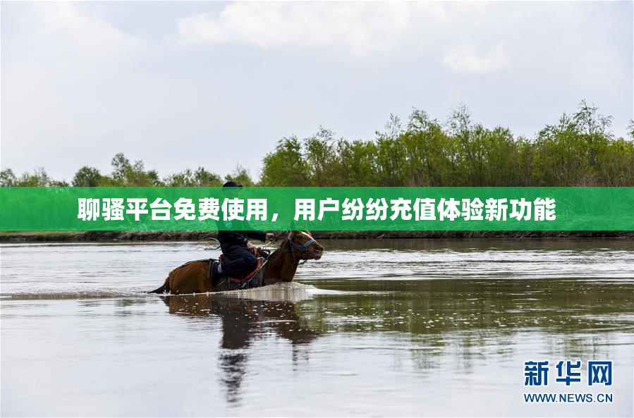 聊骚平台免费使用，用户纷纷充值体验新功能