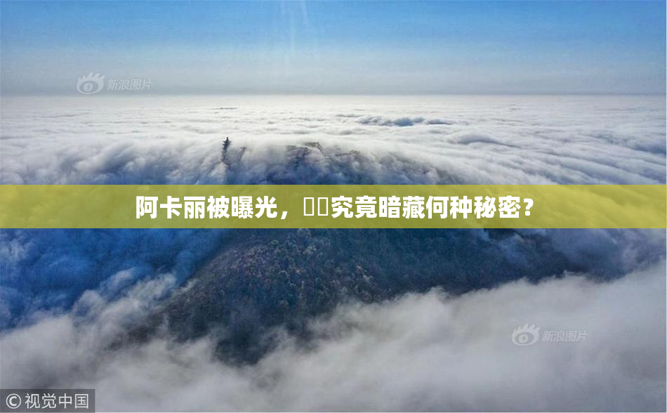 阿卡丽被曝光，❌‌究竟暗藏何种秘密？
