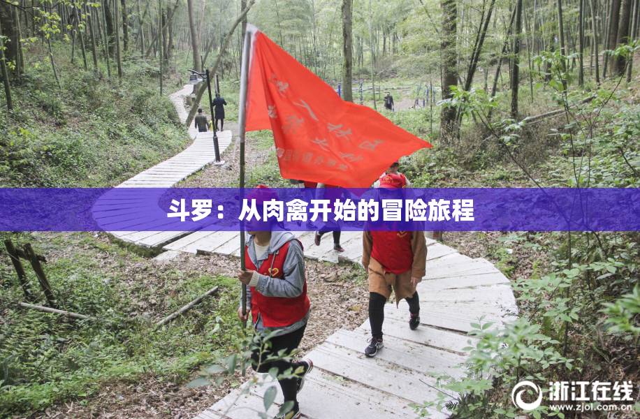 斗罗：从肉禽开始的冒险旅程