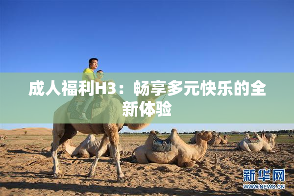 成人福利H3：畅享多元快乐的全新体验