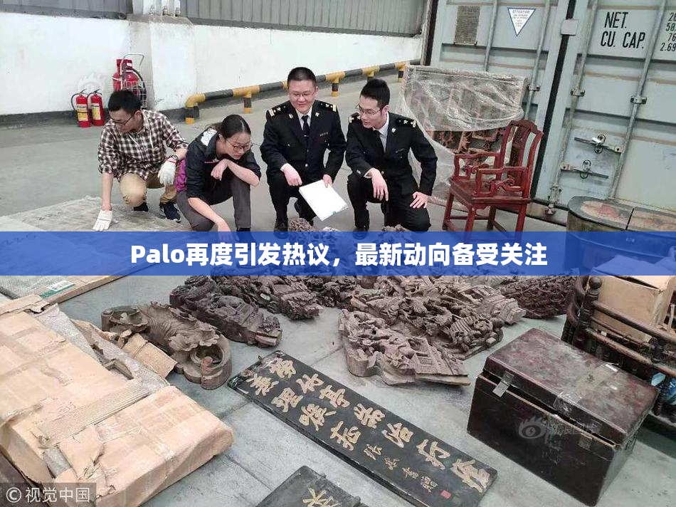 Palo再度引发热议，最新动向备受关注