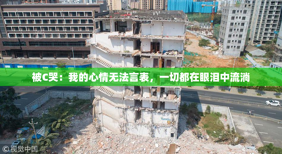 被C哭：我的心情无法言表，一切都在眼泪中流淌