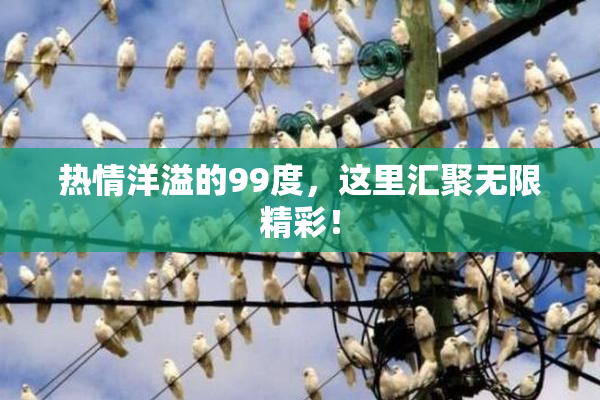 热情洋溢的99度，这里汇聚无限精彩！