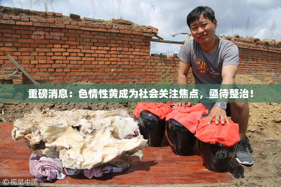 重磅消息：色情性黄成为社会关注焦点，亟待整治！