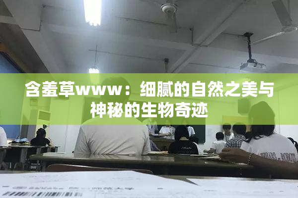 含羞草www：细腻的自然之美与神秘的生物奇迹