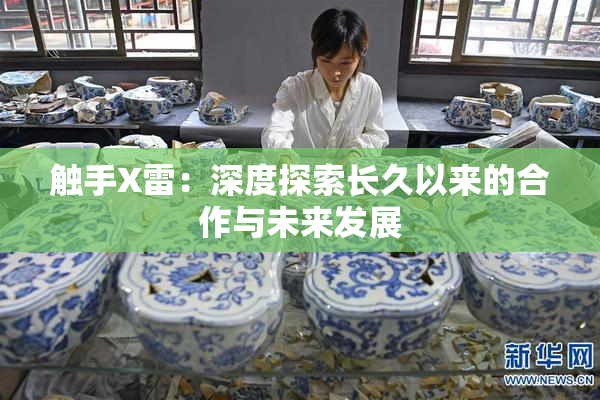 触手X雷：深度探索长久以来的合作与未来发展