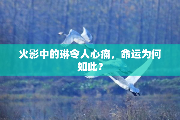 火影中的琳令人心痛，命运为何如此？