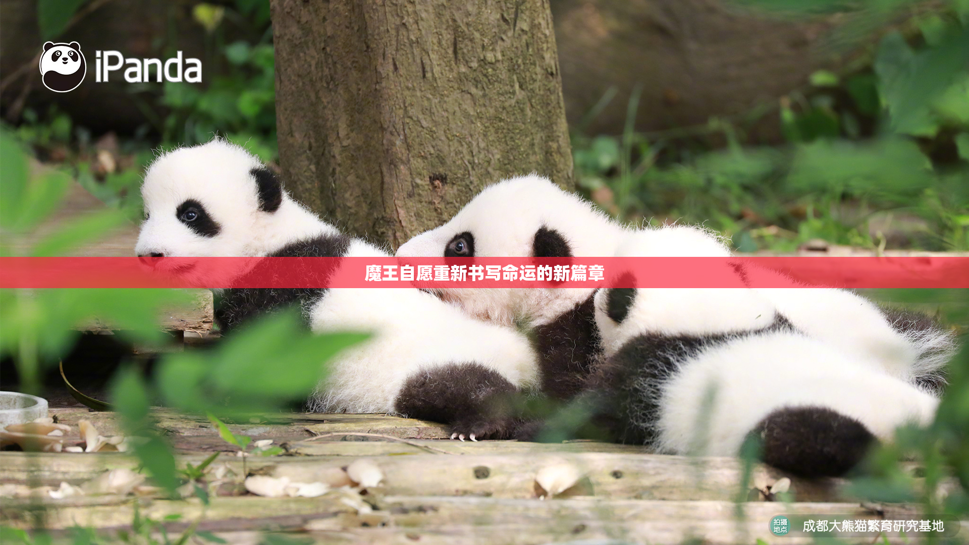 魔王自愿重新书写命运的新篇章