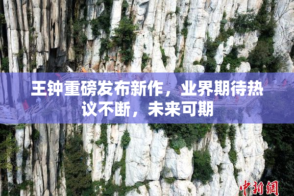 王钟重磅发布新作，业界期待热议不断，未来可期