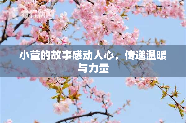 小莹的故事感动人心，传递温暖与力量