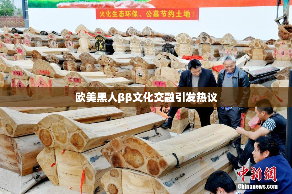 欧美黑人ββ文化交融引发热议