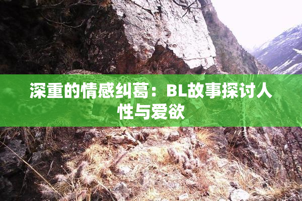 深重的情感纠葛：BL故事探讨人性与爱欲