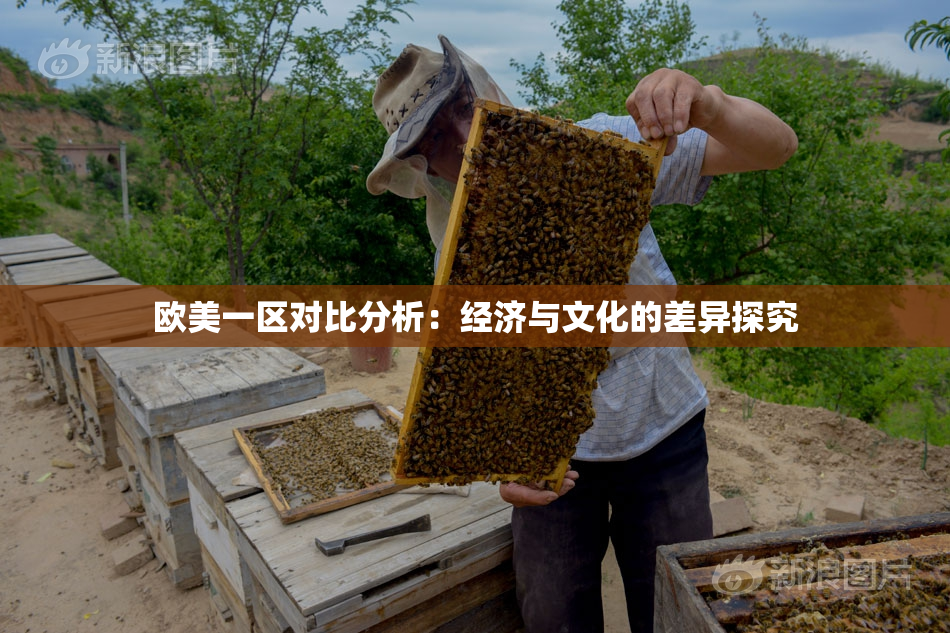欧美一区对比分析：经济与文化的差异探究