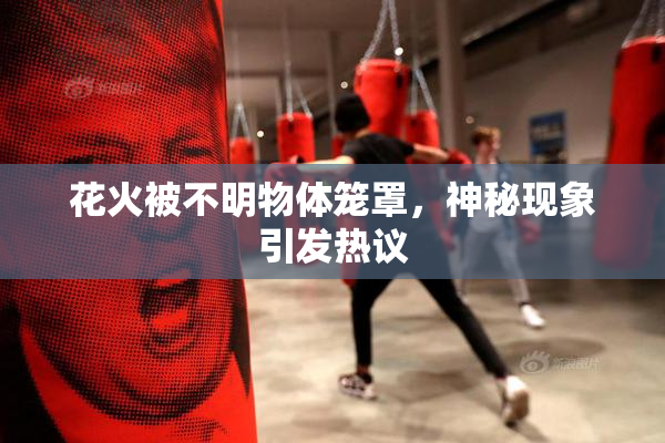 花火被不明物体笼罩，神秘现象引发热议
