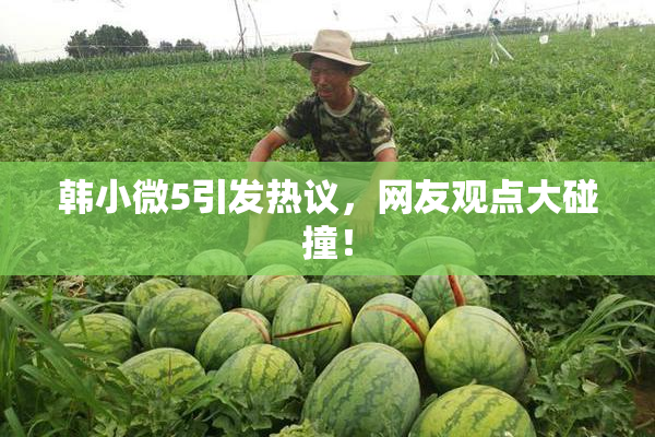 韩小微5引发热议，网友观点大碰撞！