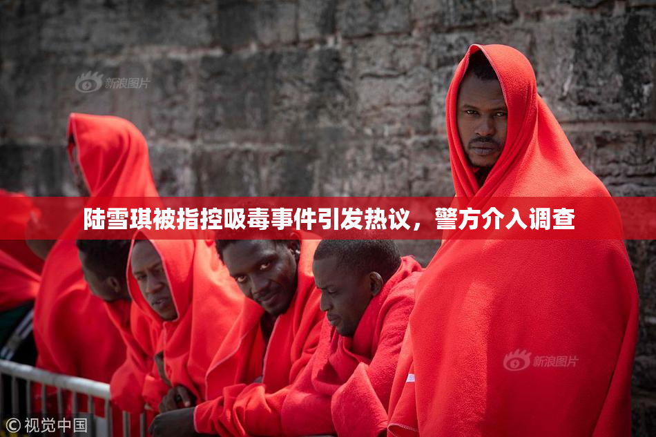 陆雪琪被指控吸毒事件引发热议，警方介入调查