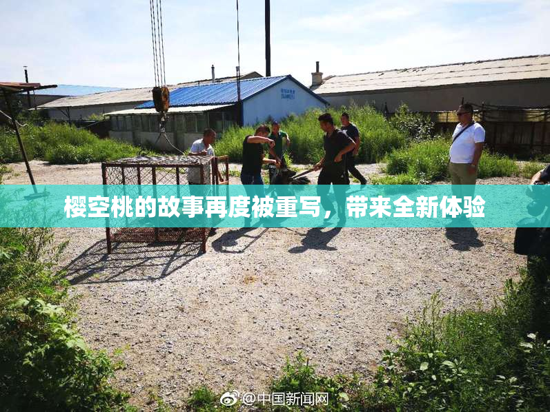 樱空桃的故事再度被重写，带来全新体验