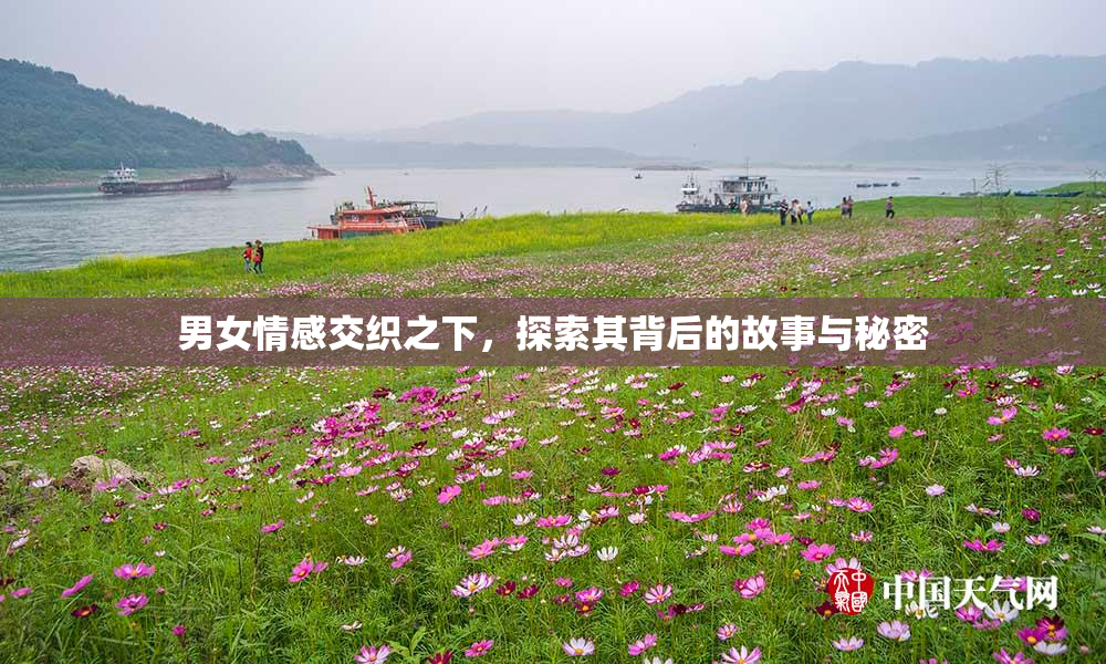 男女情感交织之下，探索其背后的故事与秘密