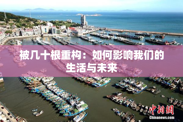 被几十根重构：如何影响我们的生活与未来