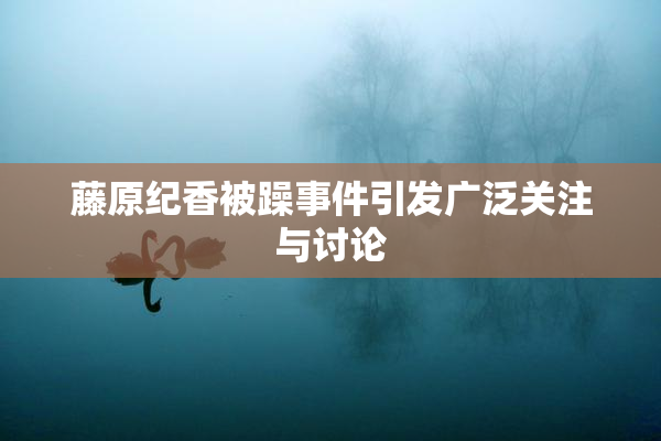 藤原纪香被躁事件引发广泛关注与讨论