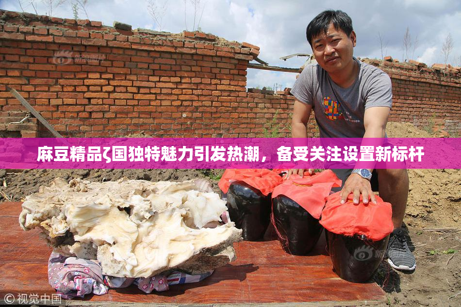 麻豆精品ζ国独特魅力引发热潮，备受关注设置新标杆