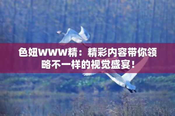 色妞WWW精：精彩内容带你领略不一样的视觉盛宴！
