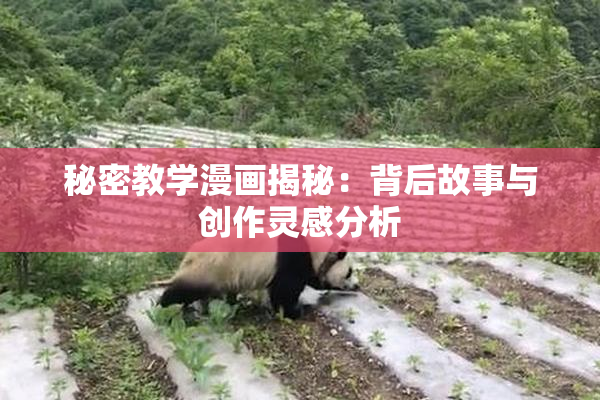 秘密教学漫画揭秘：背后故事与创作灵感分析