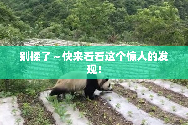 别揉了～快来看看这个惊人的发现！