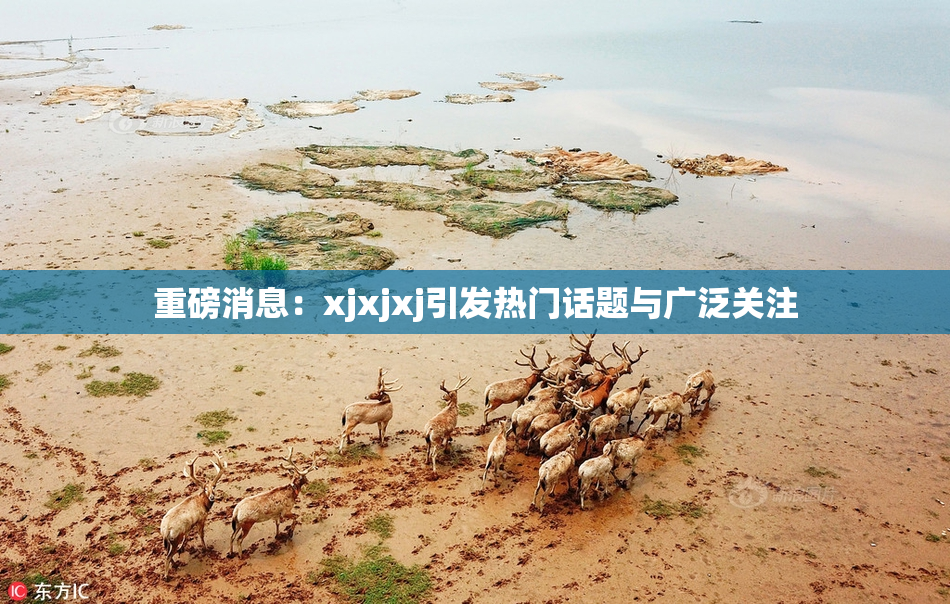 重磅消息：xjxjxj引发热门话题与广泛关注