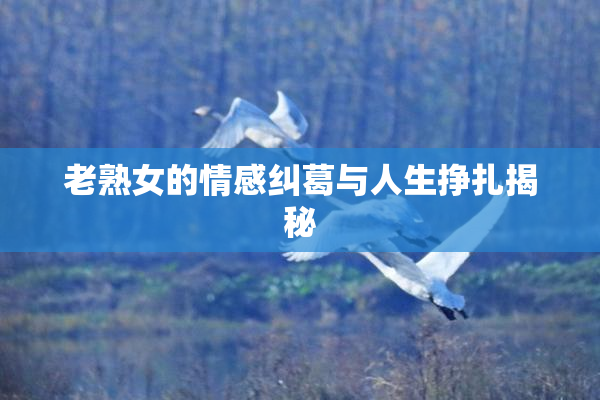 老熟女的情感纠葛与人生挣扎揭秘