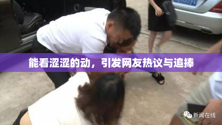 能看涩涩的动，引发网友热议与追捧