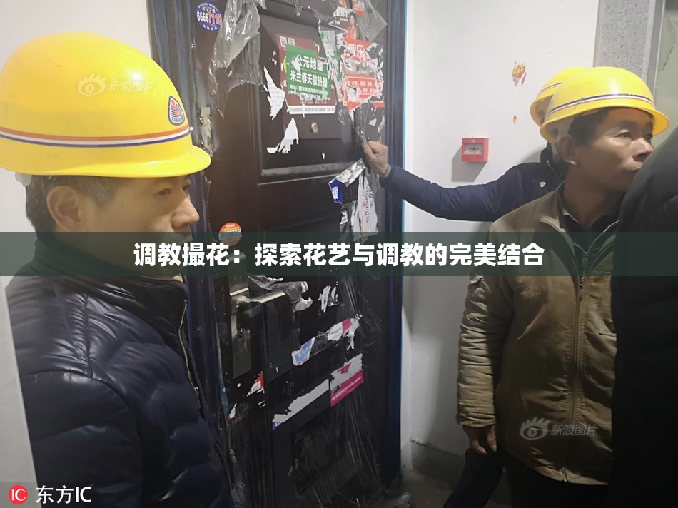调教撮花：探索花艺与调教的完美结合