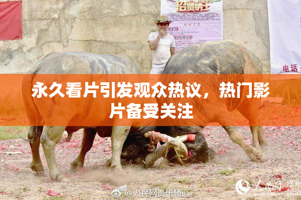 永久看片引发观众热议，热门影片备受关注