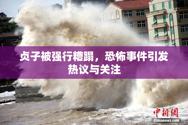 贞子被强行糟蹋，恐怖事件引发热议与关注