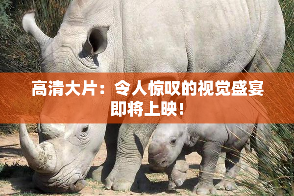 高清大片：令人惊叹的视觉盛宴即将上映！