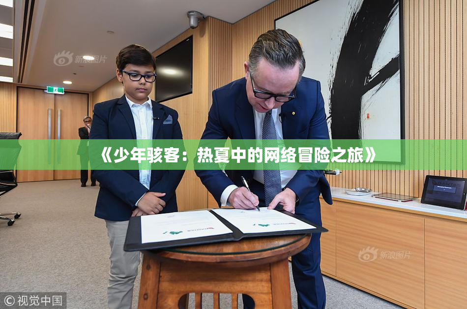 《少年骇客：热夏中的网络冒险之旅》