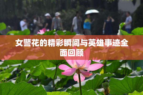 女警花的精彩瞬间与英雄事迹全面回顾